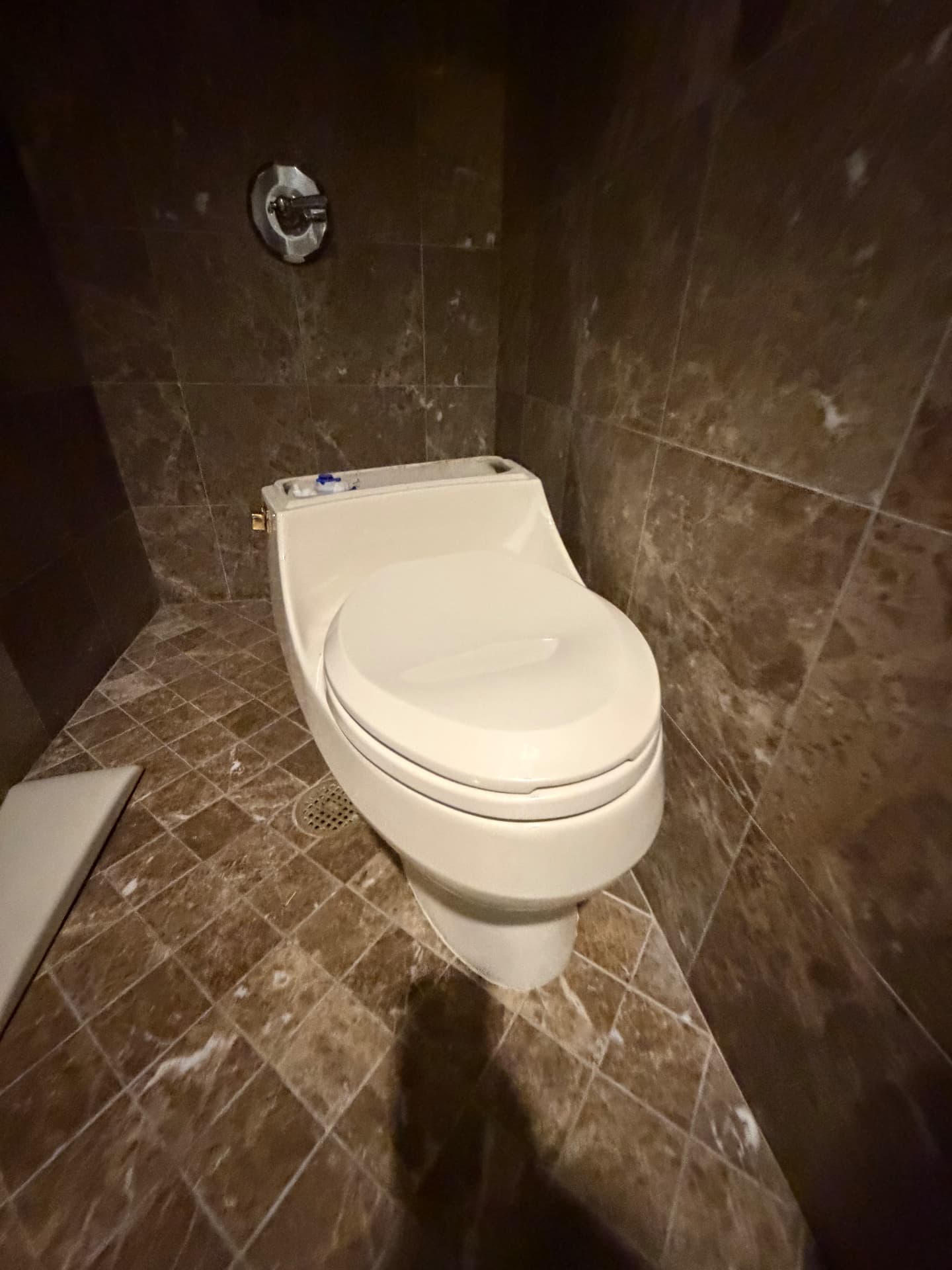 Suite bathroom toilet in a marble-tiled water closet