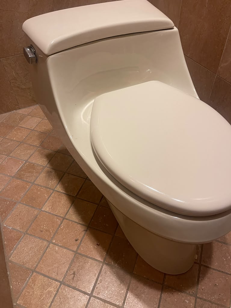 Guest bathroom toilet included with the room package