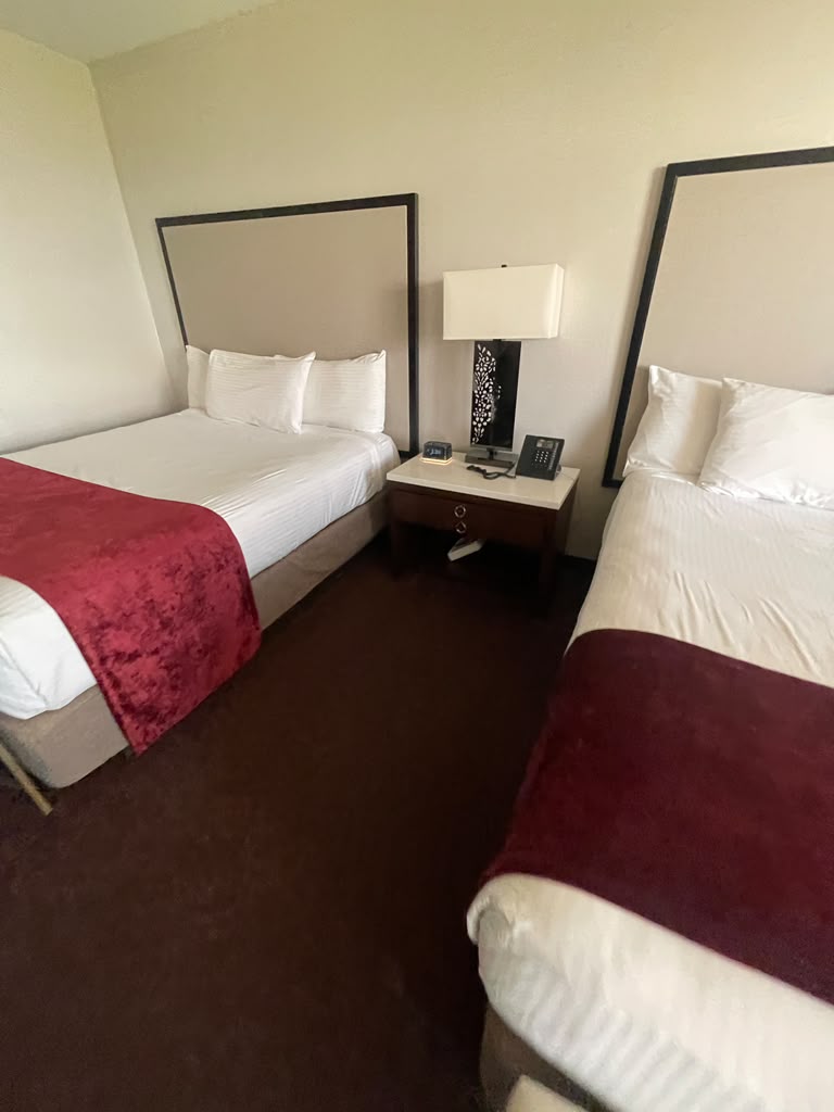Two queen beds with upholstered headboards, shared nightstand, lamp, telephone and alarm clock